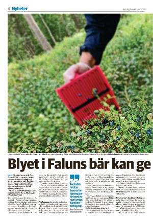 falukuriren_seksjon-20220903_000_00_00_004.pdf