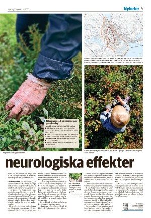 falukuriren_seksjon-20220903_000_00_00_005.pdf