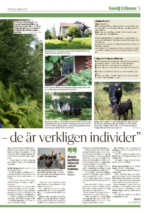 falukuriren_seksjon-20230821_000_00_00_005.pdf