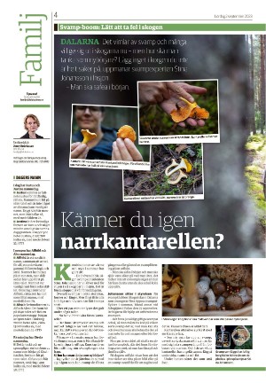 falukuriren_seksjon-20230902_000_00_00_004.pdf