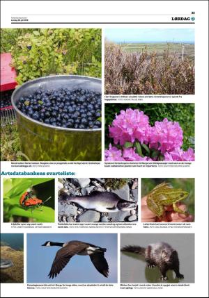 fedrelandsvennen-20180728_000_00_00_033.pdf