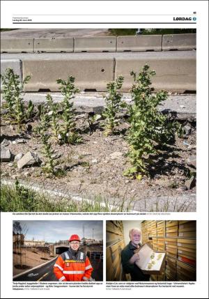 fedrelandsvennen-20190330_000_00_00_041.pdf