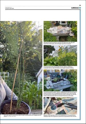 fedrelandsvennen-20200829_000_00_00_039.pdf