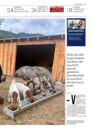 fedrelandsvennen-20250718_000_00_00_017.pdf