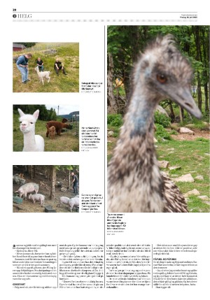 fedrelandsvennen-20250718_000_00_00_020.pdf