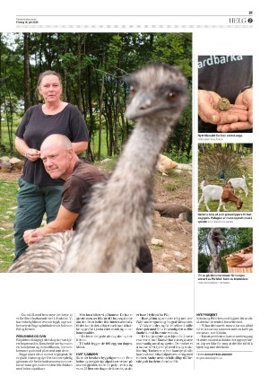 fedrelandsvennen-20250718_000_00_00_021.pdf