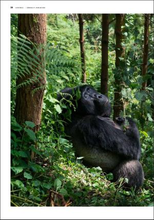 fedrelandsvennen_godhelg-20180127_000_00_00_028.pdf