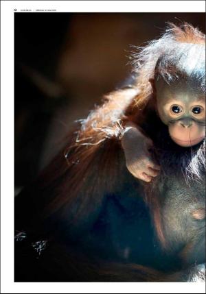 fedrelandsvennen_godhelg-20180519_000_00_00_012.pdf