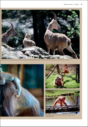 fedrelandsvennen_godhelg-20180519_000_00_00_015.pdf