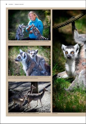 fedrelandsvennen_godhelg-20180519_000_00_00_016.pdf