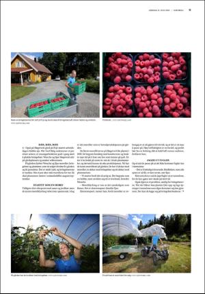 fedrelandsvennen_godhelg-20180721_000_00_00_011.pdf