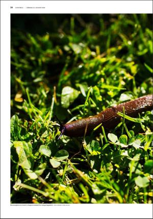 fedrelandsvennen_godhelg-20180825_000_00_00_024.pdf