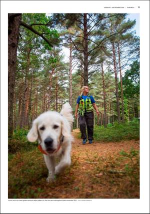 fedrelandsvennen_godhelg-20180908_000_00_00_011.pdf