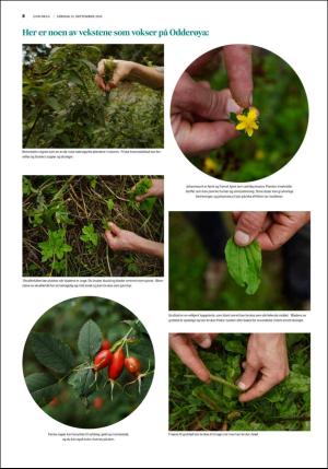 fedrelandsvennen_godhelg-20180915_000_00_00_008.pdf