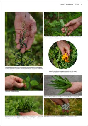 fedrelandsvennen_godhelg-20180915_000_00_00_009.pdf