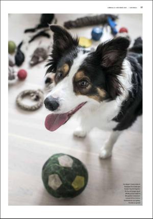 fedrelandsvennen_godhelg-20181006_000_00_00_017.pdf