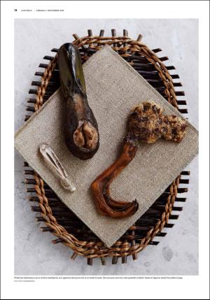 fedrelandsvennen_godhelg-20181103_000_00_00_014.pdf