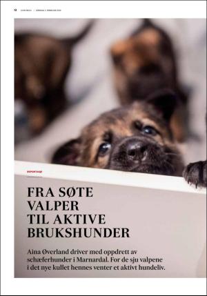 fedrelandsvennen_godhelg-20190202_000_00_00_012.pdf