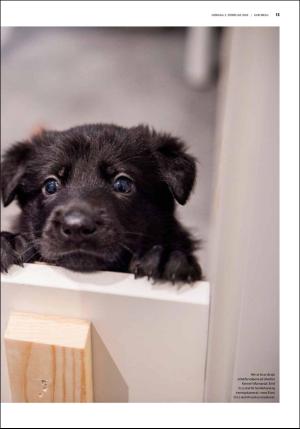 fedrelandsvennen_godhelg-20190202_000_00_00_013.pdf