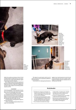 fedrelandsvennen_godhelg-20190202_000_00_00_017.pdf