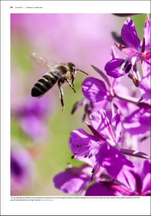 fedrelandsvennen_godhelg-20190316_000_00_00_024.pdf