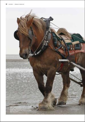 fedrelandsvennen_godhelg-20190323_000_00_00_028.pdf