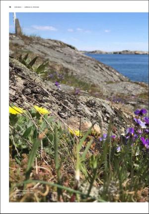 fedrelandsvennen_godhelg-20190615_000_00_00_016.pdf