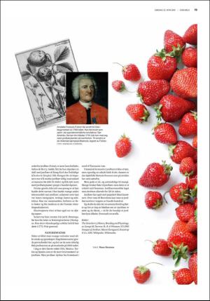 fedrelandsvennen_godhelg-20190622_000_00_00_019.pdf