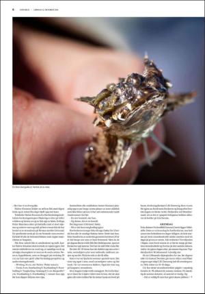 fedrelandsvennen_godhelg-20191012_000_00_00_006.pdf