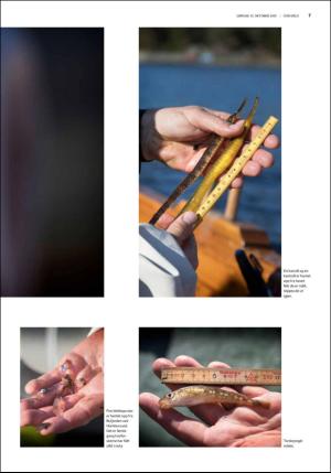 fedrelandsvennen_godhelg-20191012_000_00_00_007.pdf