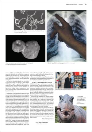 fedrelandsvennen_godhelg-20200118_000_00_00_023.pdf