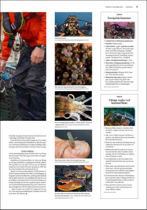 fedrelandsvennen_godhelg-20201003_000_00_00_017.pdf