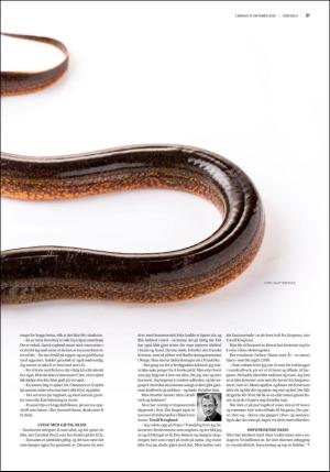 fedrelandsvennen_godhelg-20201031_000_00_00_021.pdf