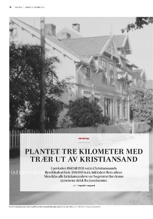 fedrelandsvennen_godhelg-20201212_000_00_00_016.pdf