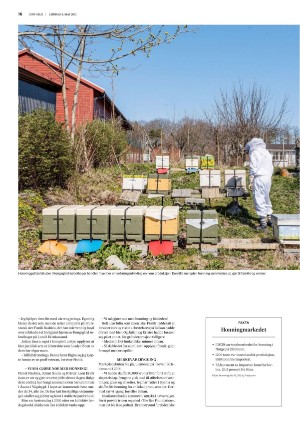 fedrelandsvennen_godhelg-20210508_000_00_00_016.pdf