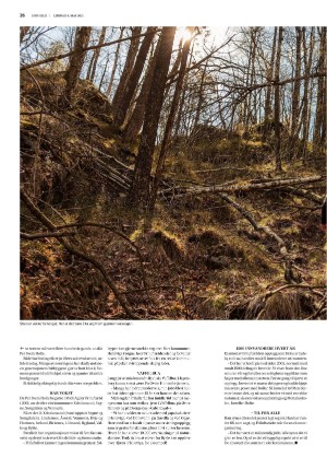 fedrelandsvennen_godhelg-20210508_000_00_00_026.pdf