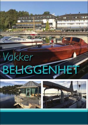 finansavisen-20170930_000_00_00_066.pdf