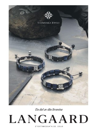 finansavisen-20251113_000_00_00_003.pdf