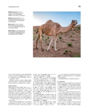 finansavisen_bilag-20241101_000_00_00_035.pdf