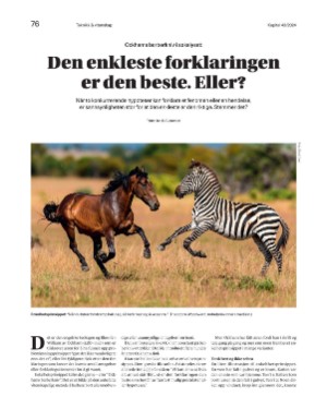 finansavisen_bilag-20241122_000_00_00_076.pdf