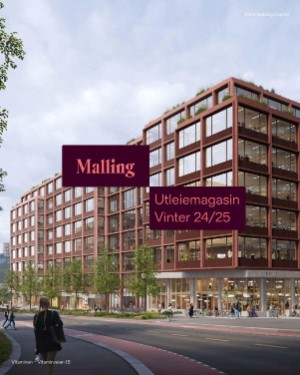 finansavisen_bilag-20241129_000_00_00_043.pdf