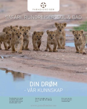 finansavisen_bilag-20250103_000_00_00_008.pdf