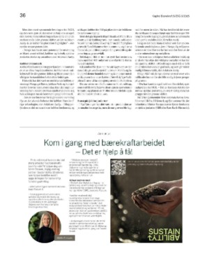 finansavisen_bilag-20250117_000_00_00_036.pdf