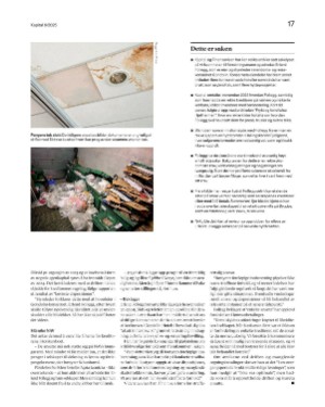 finansavisen_bilag-20250207_000_00_00_017.pdf
