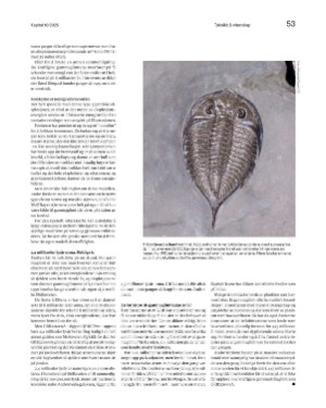 finansavisen_bilag-20250307_000_00_00_053.pdf