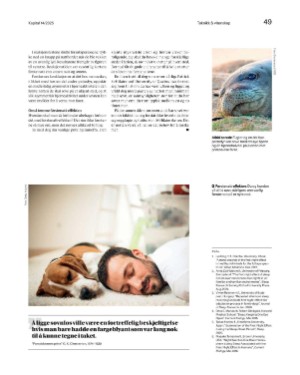finansavisen_bilag-20250404_000_00_00_049.pdf