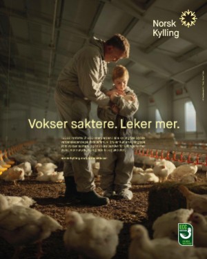 finansavisen_bilag-20250411_000_00_00_085.pdf