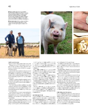 finansavisen_bilag-20250415_000_00_00_040.pdf