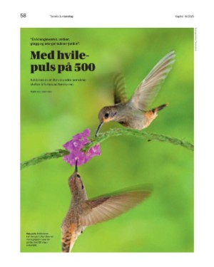 finansavisen_bilag-20250502_000_00_00_058.pdf