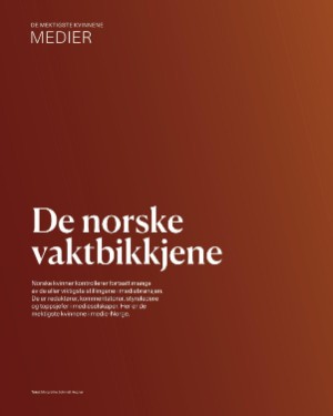 finansavisen_bilag-20250815_000_00_00_084.pdf